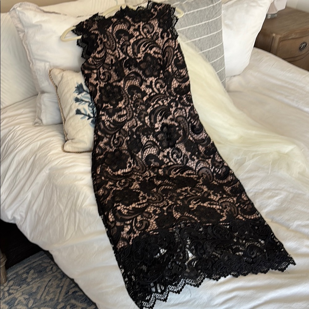 Elegant Black Lace Dress Dress The Population